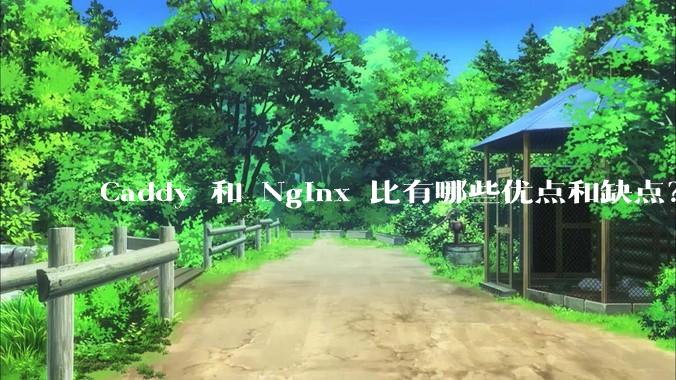 Caddy 和 Nginx 比有哪些优点和缺点？