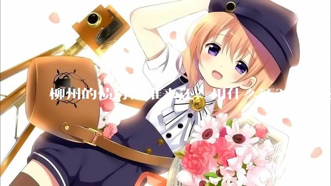 柳州的债务，谁来还？用什么还？怎么还？
