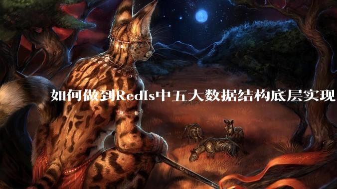 如何做到Redis中五大数据结构底层实现？