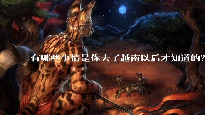 有哪些事情是你去了越南以后才知道的？