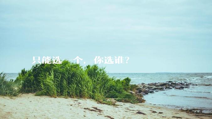 只能选一个，你选谁？